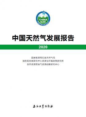 2020中國天然氣發(fā)展報告（含2017、2018、2019、2020）